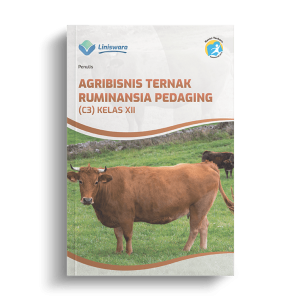 Penyedia/Supplier/Distributor/Jual Buku Agribisnis Ternak Ruminansia Pedaging (C3) Kelas XII [WA 085730453518]