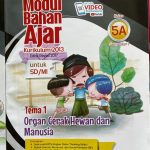 Distributor/Supplier/Agen/Jual Buku LKS Kurikulum 2013 SD Tematik Semester Ganjil Merek Fokus Tahun Ajaran 2023/2024 (WA 085730453518)
