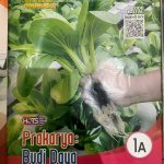 Distributor/Supplier/Agen/Jual Buku LKS Kurikulum Merdeka (Kurmer) SMP/MTs Semester Ganjil Merek Talentha Penerbit Putra Nugraha Group Tahun Ajaran 2023/2024 (WA 085730453518)