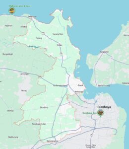 Distributor LKS Terpercaya di Kabupaten Gresik (WA 085730453518)